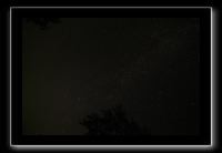IMG_8604 (1)