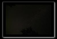 IMG_8631 (1)