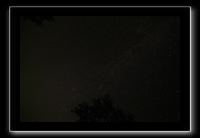 IMG_8633 (1)