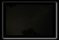 IMG_8663 (1)