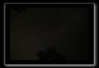 IMG_8667 (1)