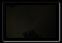 IMG_8676 (1)