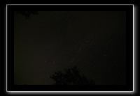 IMG_8678 (1)