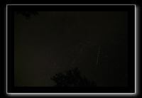 IMG_8681 (1)