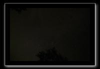 IMG_8694 (1)