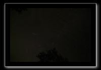 IMG_8695 (1)