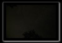 IMG_8698 (1)