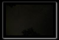 IMG_8705