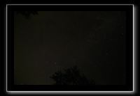 IMG_8711 (1)