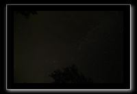 IMG_8717 (1)