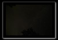 IMG_8723 (1)