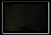 IMG_8726 (1)
