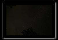 IMG_8736 (1)