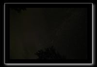 IMG_8741 (1)