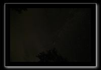 IMG_8742 (1)