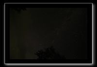 IMG_8768 (1)