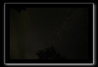 IMG_8771 (1)
