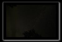 IMG_8774 (1)