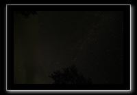 IMG_8776 (1)