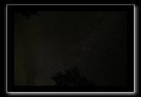 IMG_8778 (1)