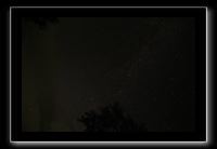 IMG_8782 (1)
