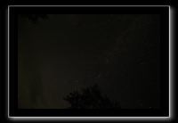 IMG_8803 (1)