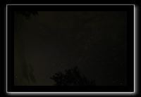 IMG_8828 (1)