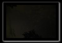 IMG_8829 (1)