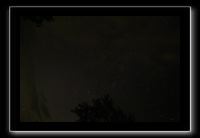 IMG_8831 (1)
