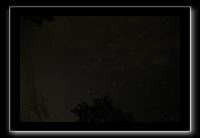 IMG_8833 (1)