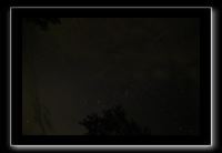 IMG_8836 (1)