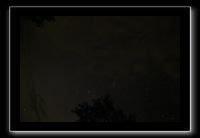 IMG_8837 (1)