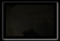 IMG_8838 (1)
