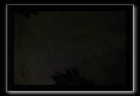 IMG_8846 (1)