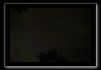 IMG_8847 (1)