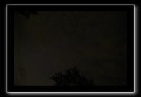 IMG_8856 (1)
