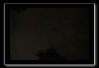 IMG_8859 (1)