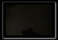 IMG_8862 (1)