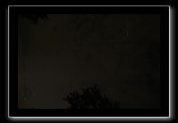 IMG_8864 (1)