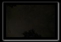 IMG_8866 (1)