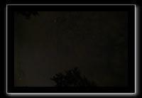 IMG_8867 (1)