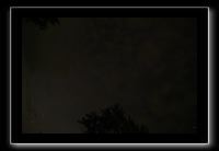 IMG_8872 (1)