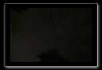 IMG_8878 (1)