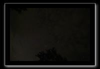 IMG_8879 (1)
