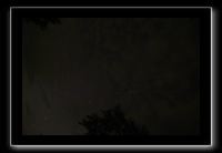 IMG_8882 (1)