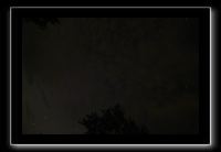 IMG_8884 (1)