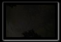 IMG_8892 (1)