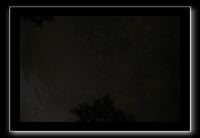 IMG_8894 (1)