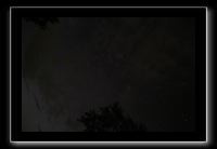 IMG_8905 (1)