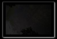 IMG_8908 (1)
